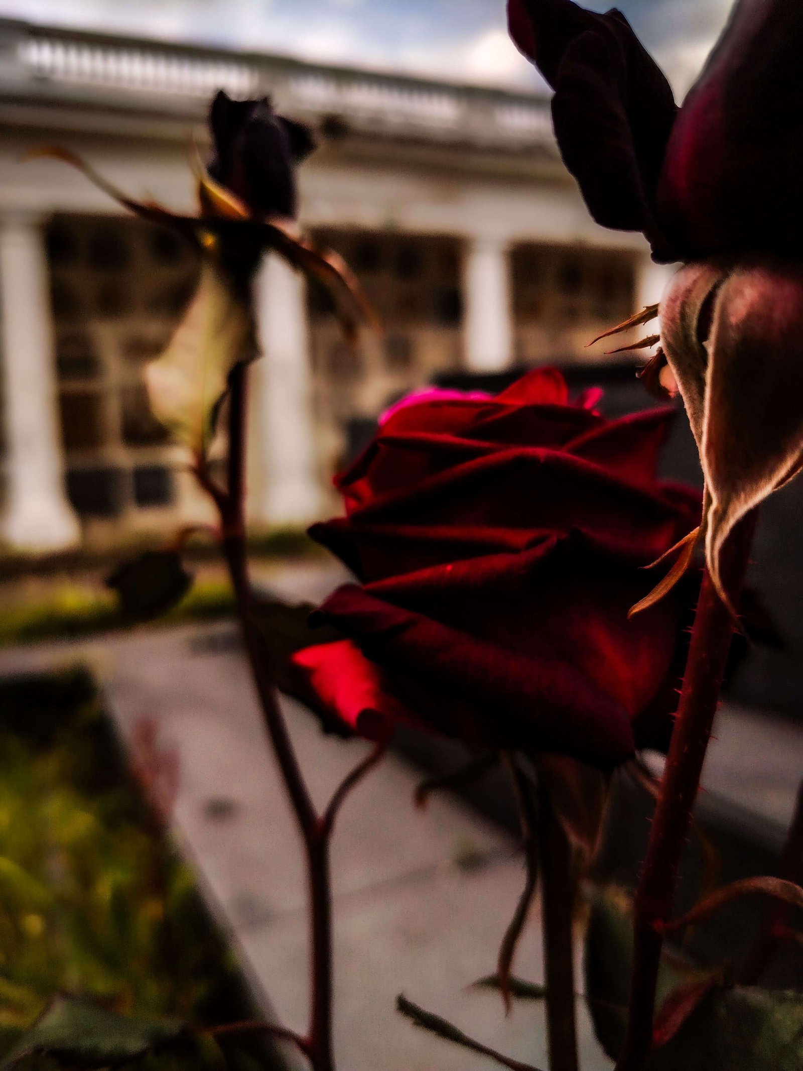 Composicion 1
