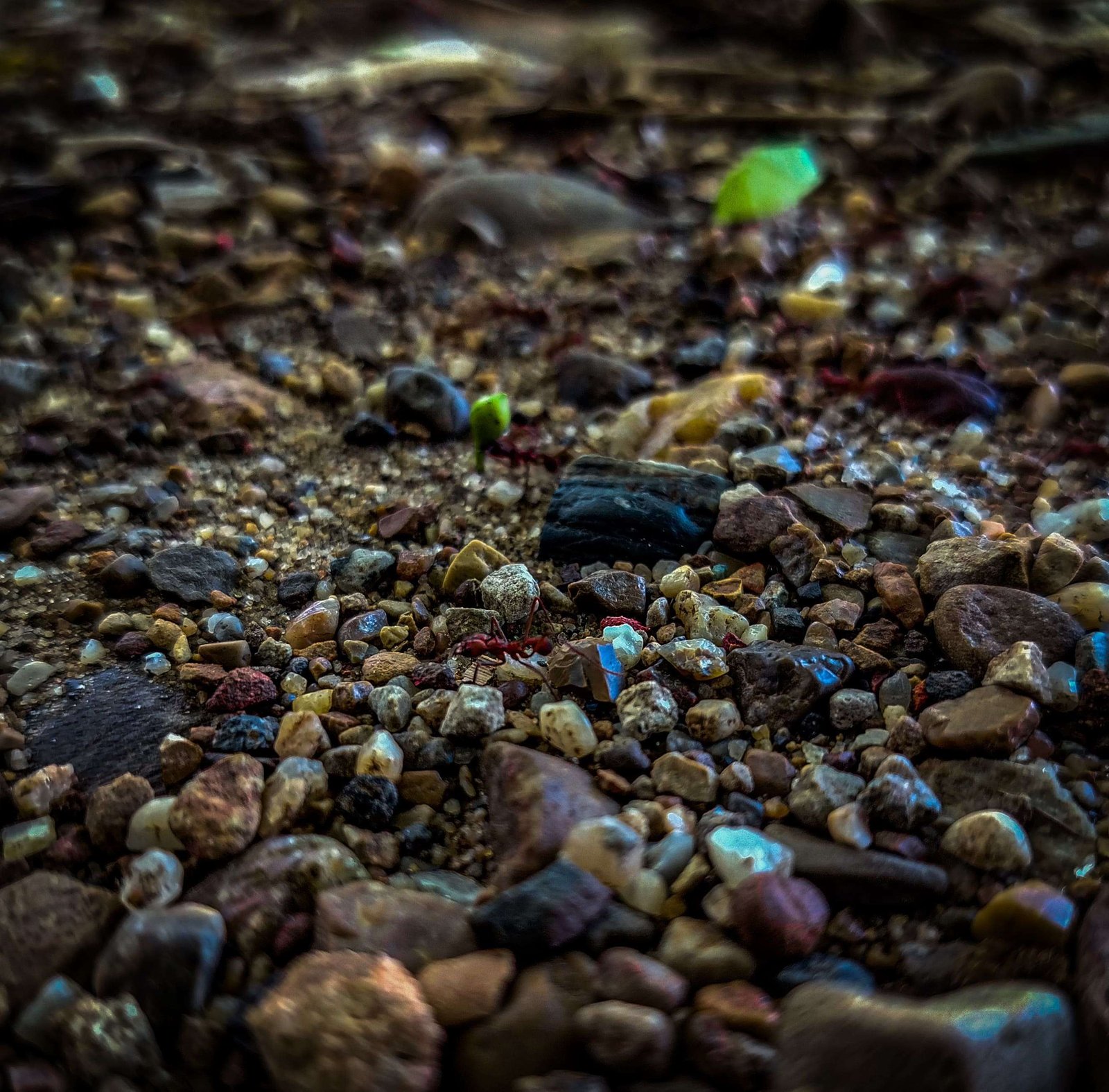 Composicion 1
