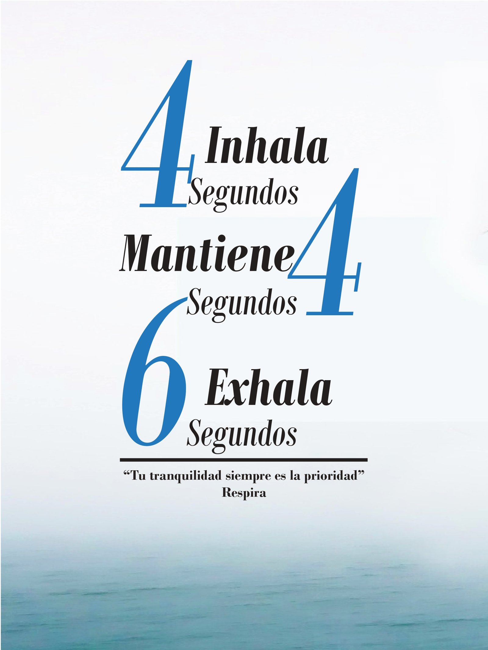 Imagen 8