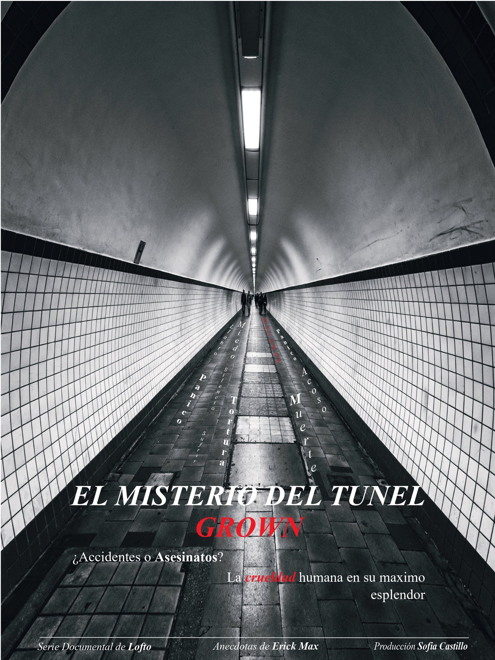 Imagen 7