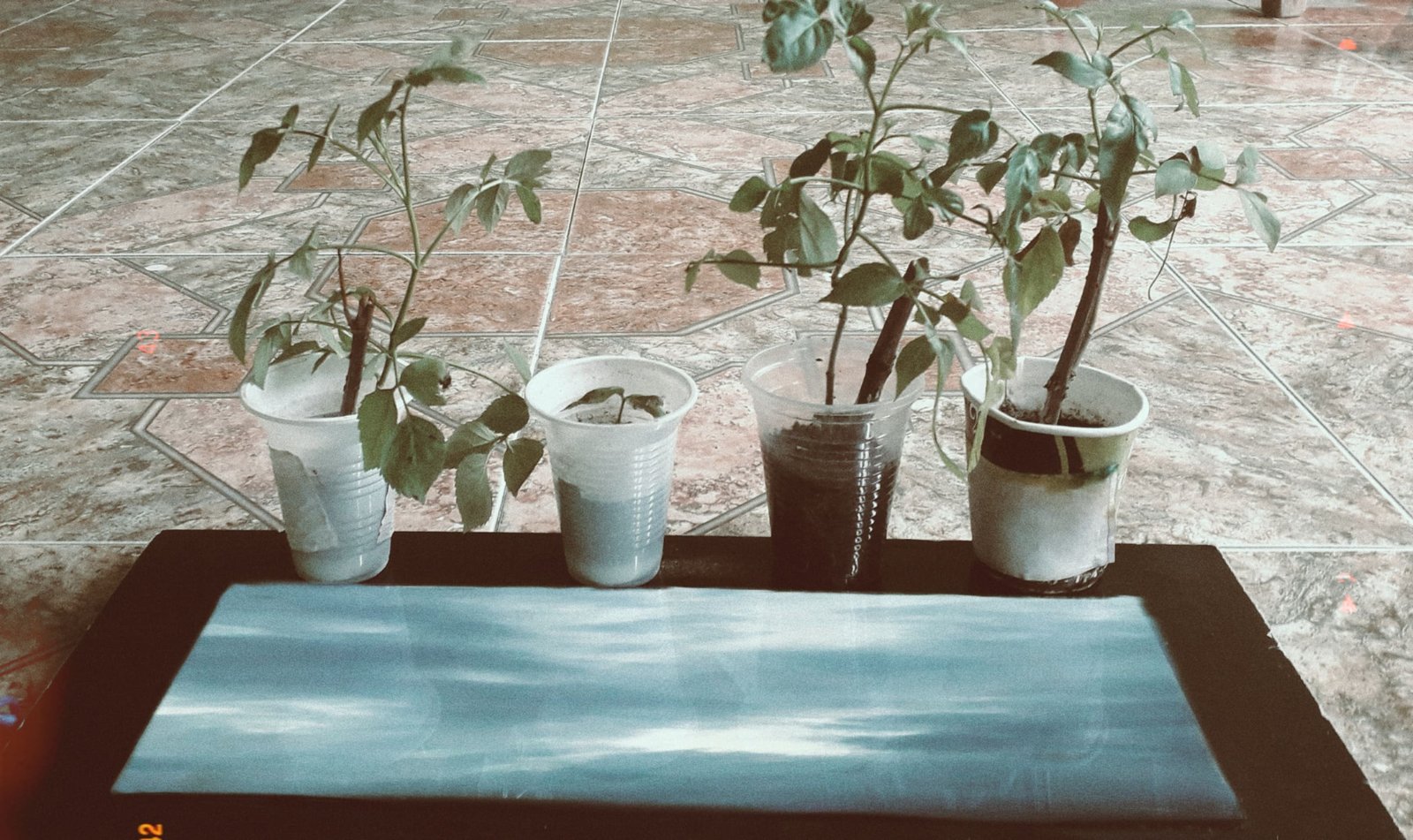 Composicion 3