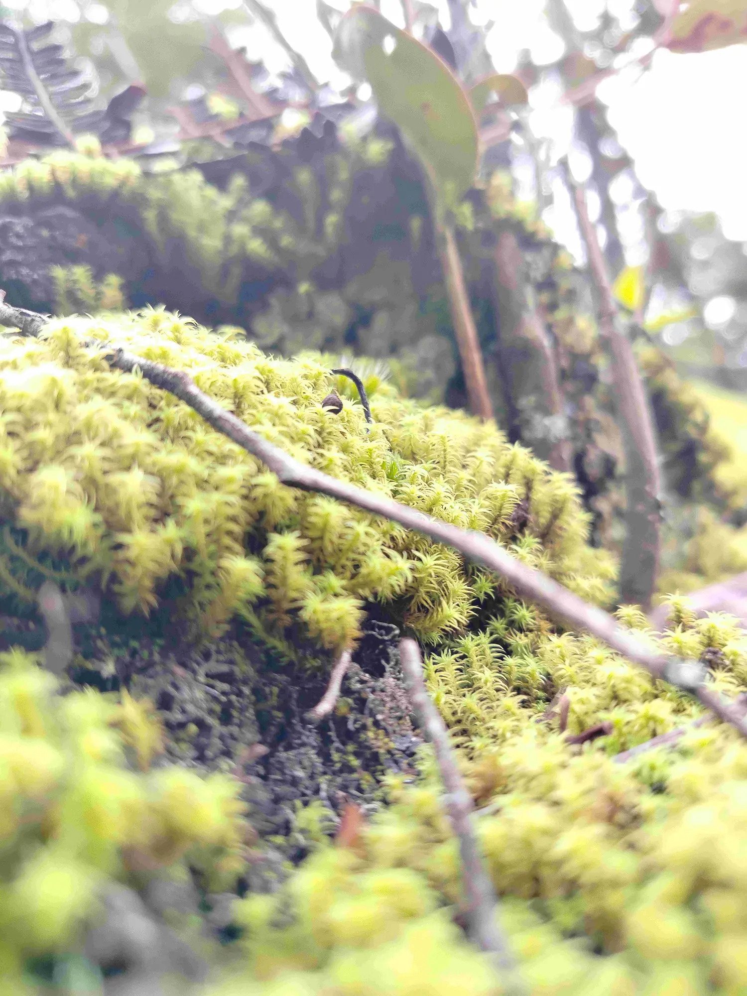 Composicion 3